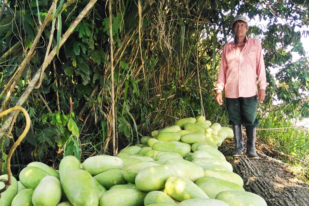 Cultivando éxitos