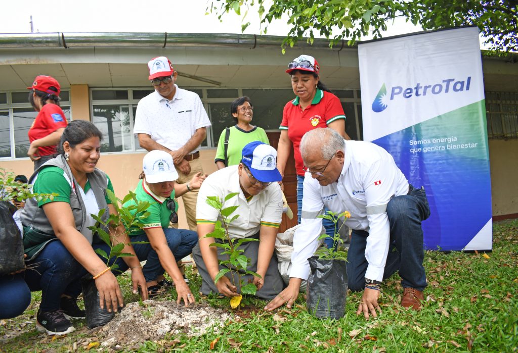 Siembran mil árboles en 45 colegios de Loreto